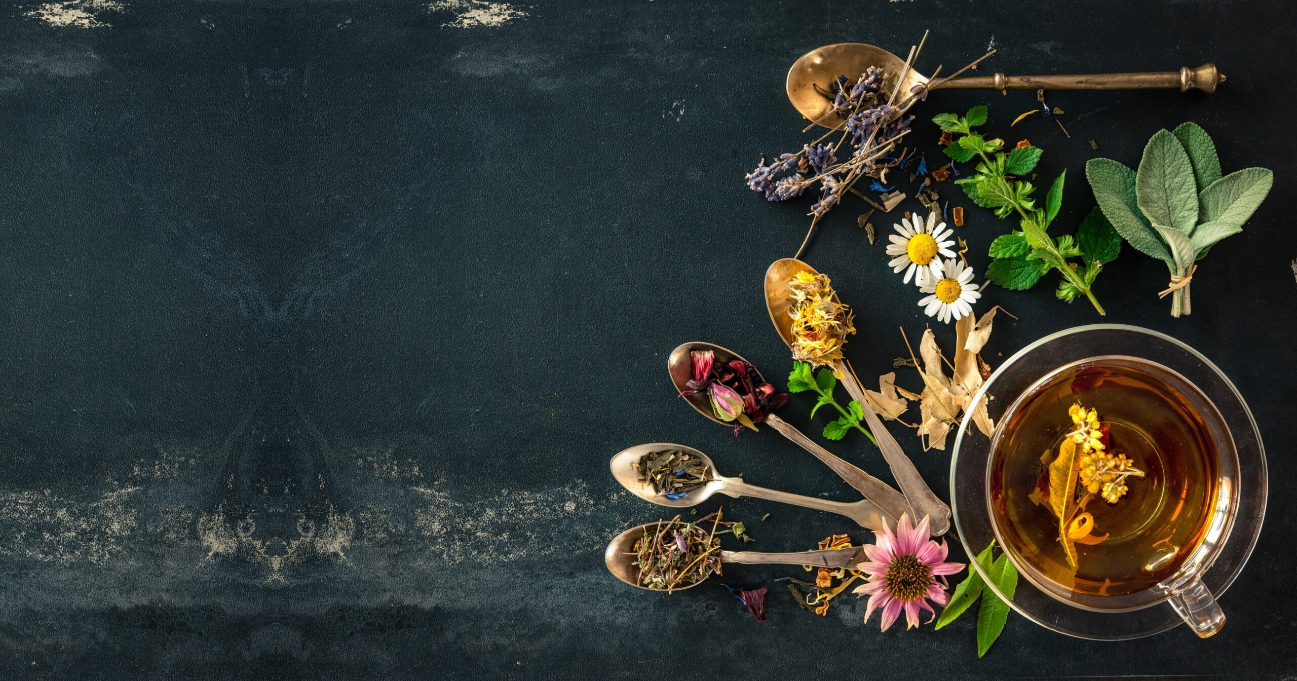 Global Tea Trends to Watch in 2025