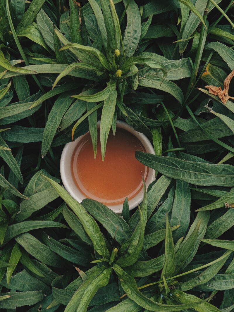 Good Sleep Tea - Image 3
