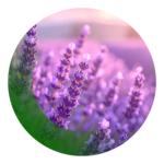 Untitled (500 x 500 px) (1000 x 1000 px)