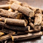 growing-licorice-harvested-roots-2x